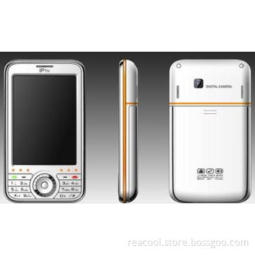GPS cell phone(P3501)